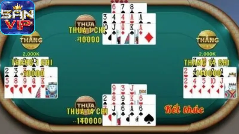 cac-loai-bo-bai-trong-mau-binh-(binh-xap-xam)